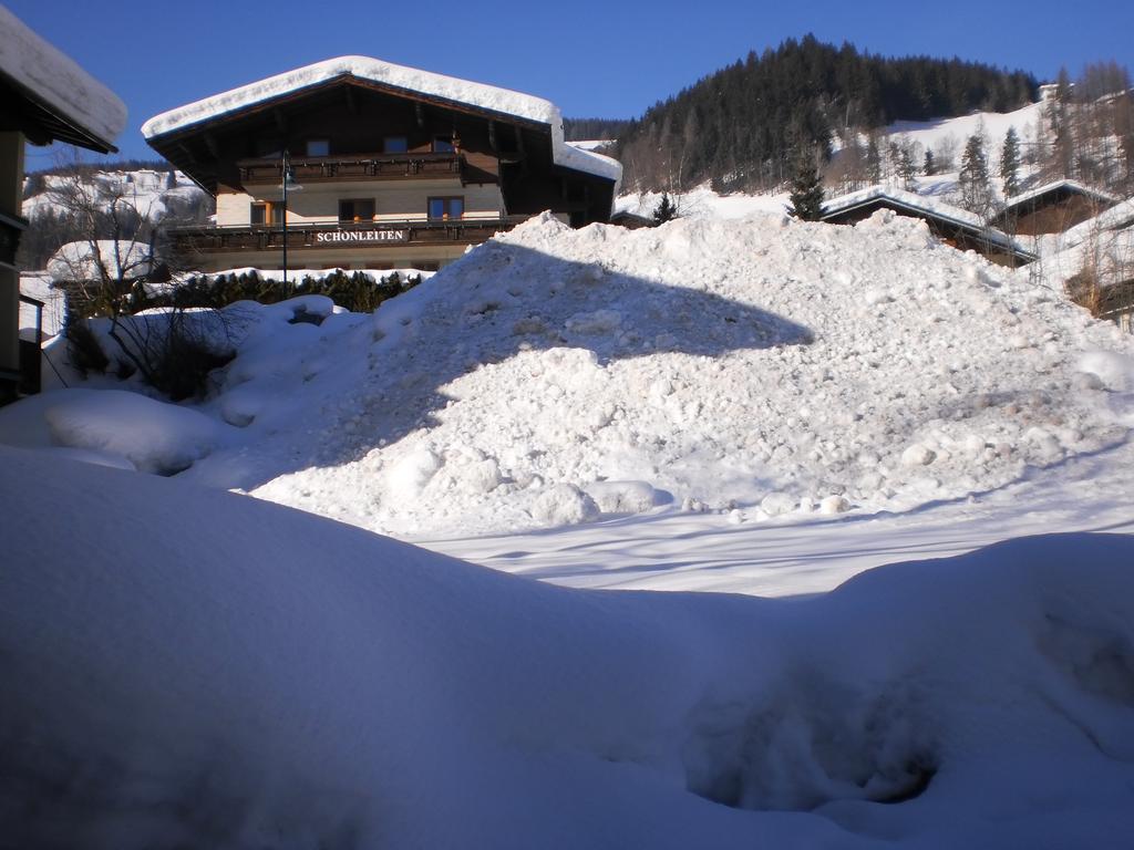 Apartment Haus Schönleiten Wagrain